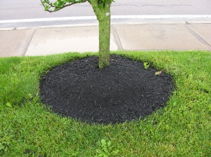 held captive in a volcano