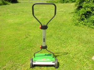 DSCN4709 My new mower