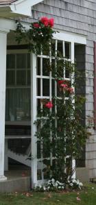 20090717_0197 20090717_0197