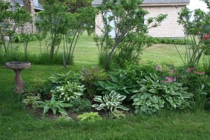 Pit stop for the birds.