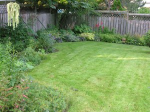 Auntie's garden in August