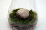 Moss Terrarium from Lifehacker