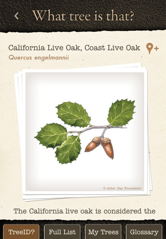 what tree is that app